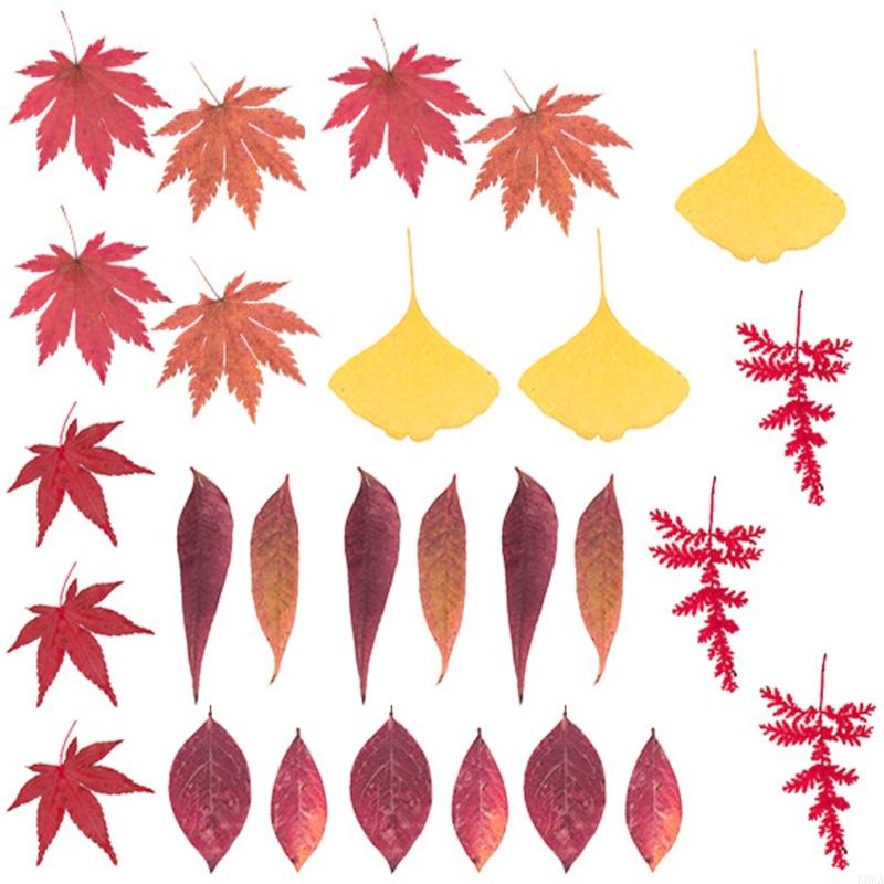 ดอกไม้กดแห้งสำหรับแม่พิมพ์เรซิ - Resin Craft Ideas บทวิจารณ์และราคา